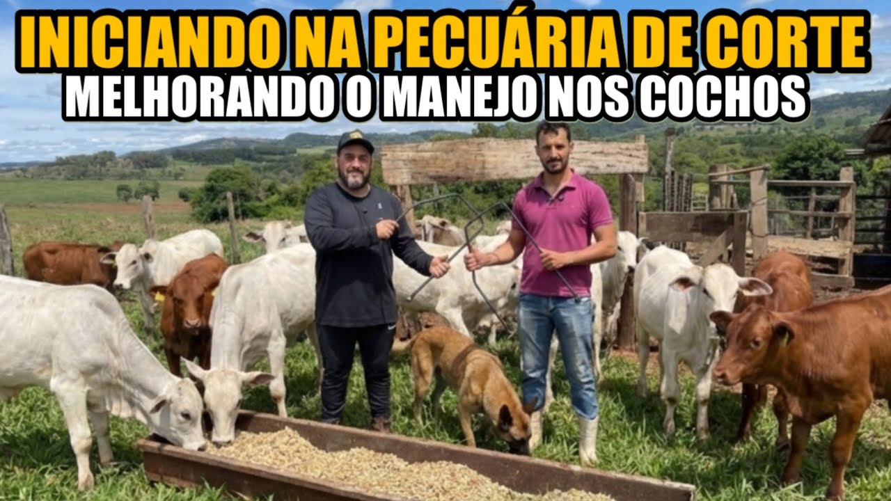 TORNANDO O MANEJO DO TRATO EFICIENTE 