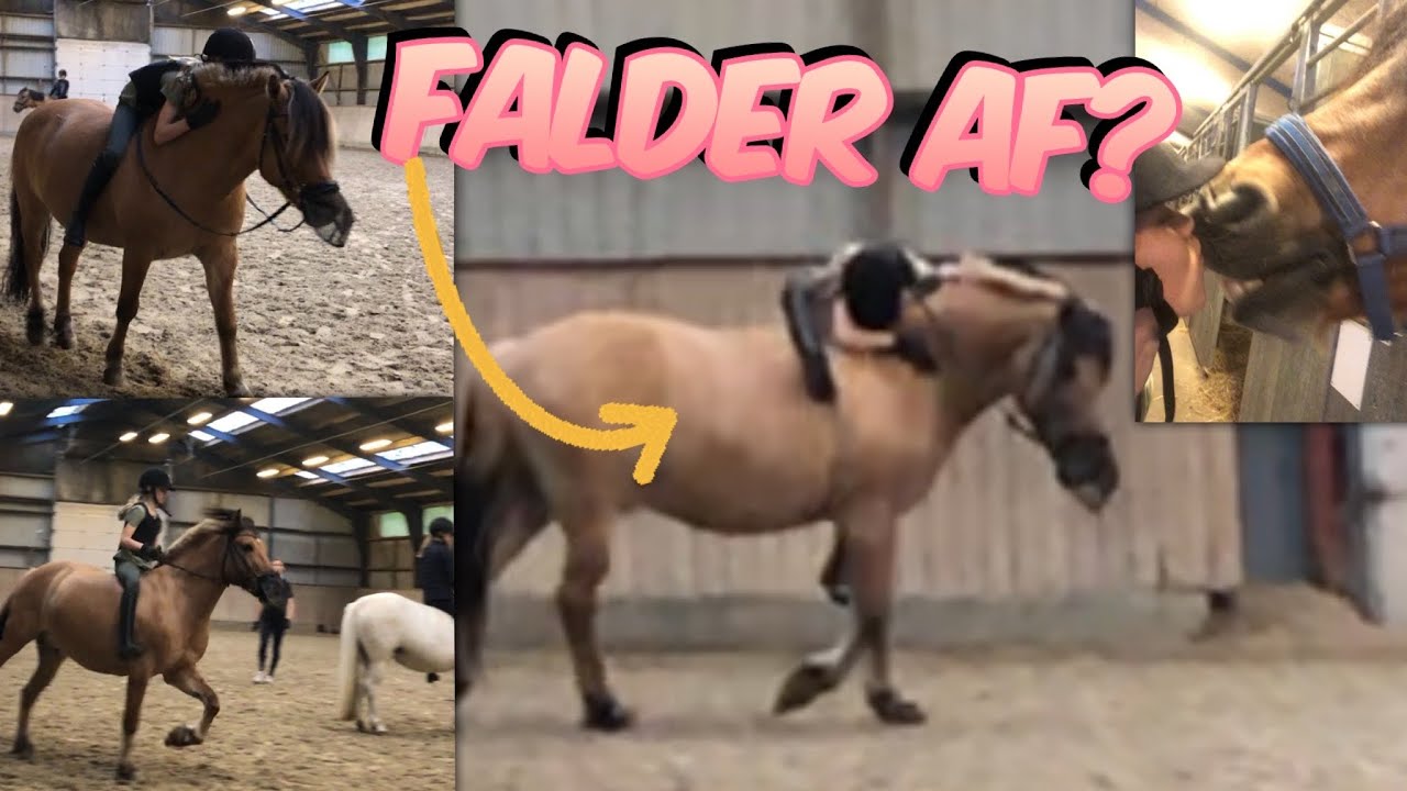 Rider uden saddel - Falder af!
