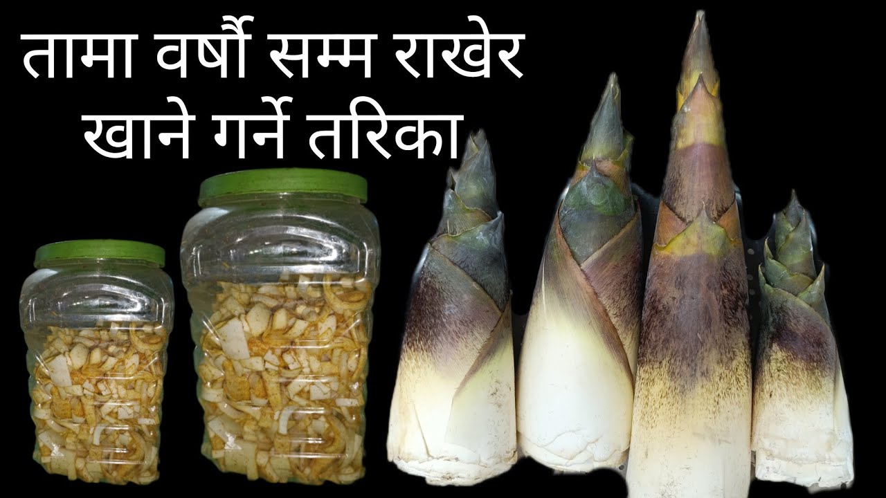तामा वर्षौ सम्म स्टोर गरेर राख्ने तरिका /How to ferment bamboo shoot / तामाकेलाउनेरअमिलो बनाउनेतरिका