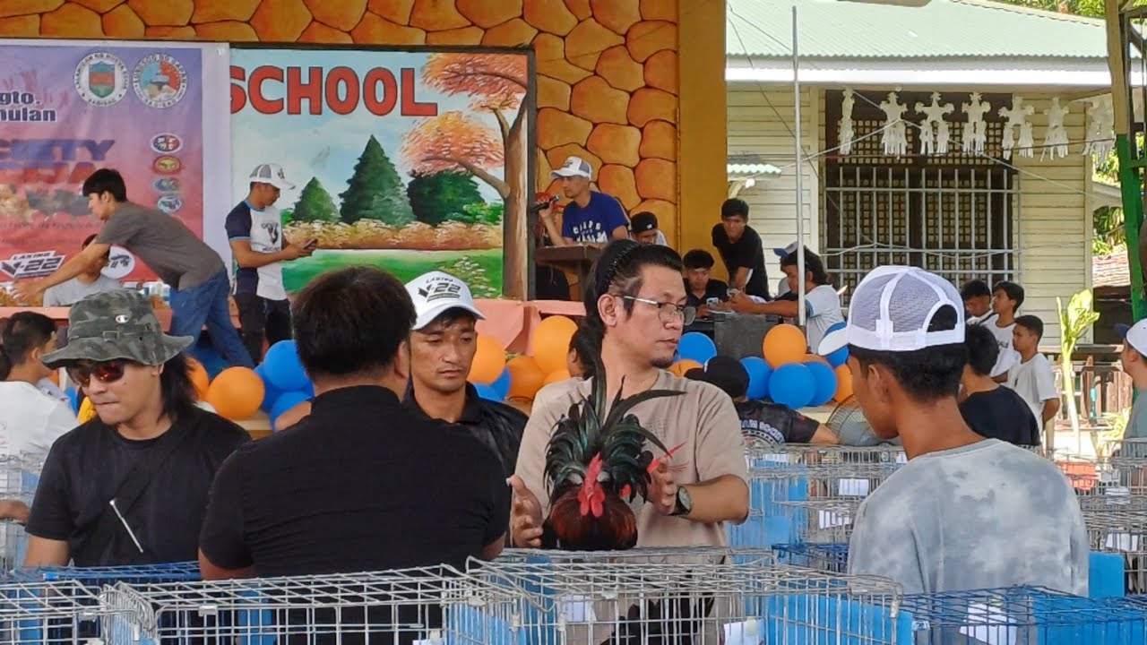 2024 FANCY CHICKEN SHOW
