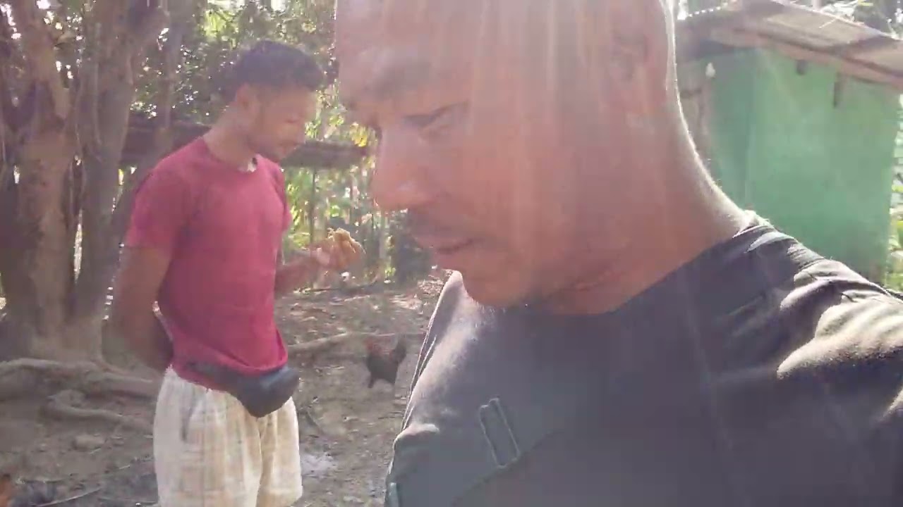  Angade  da.alde noking pingipaosa.