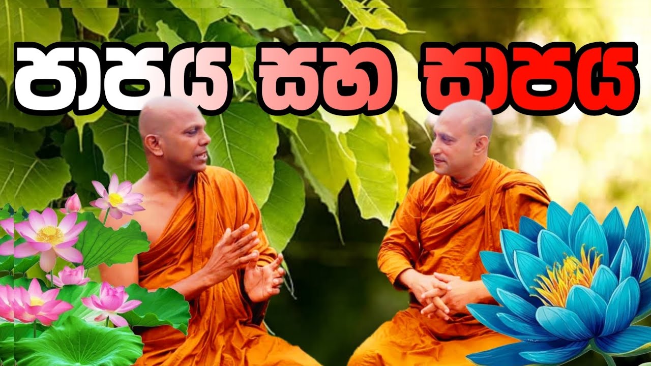 🪷🙏පාපය සහ සාපය පිළිබඳ වටිනා ධර්ම සාකච්ඡාවක් | රාහුල හිමි 🙏🪷 