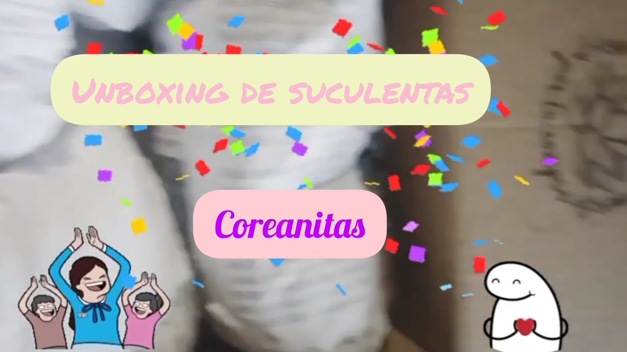 Unboxing de #Suculentas #Coreanitas