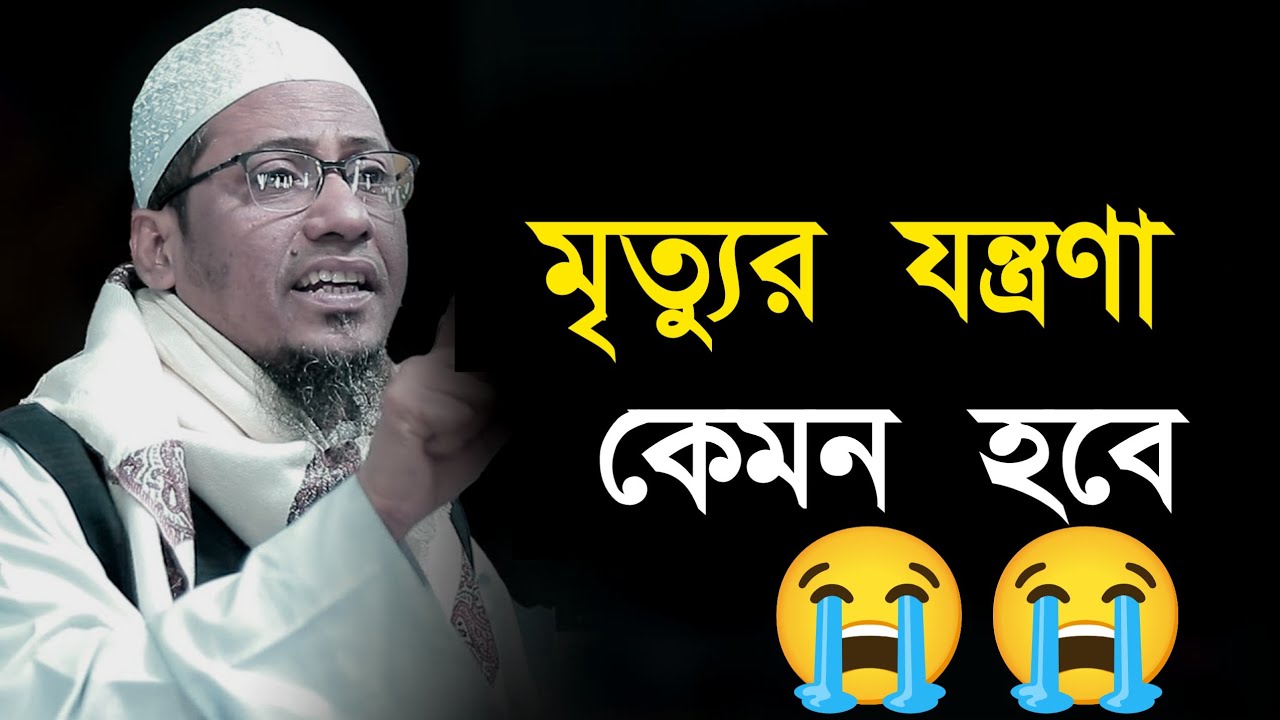 মৃত্যুর যন্ত্রণা কতটা ভ য়া ব হ হবে শুনুন। আনিসুর রহমান আশরাফী। Anisur Rahman Ashrafi waz
