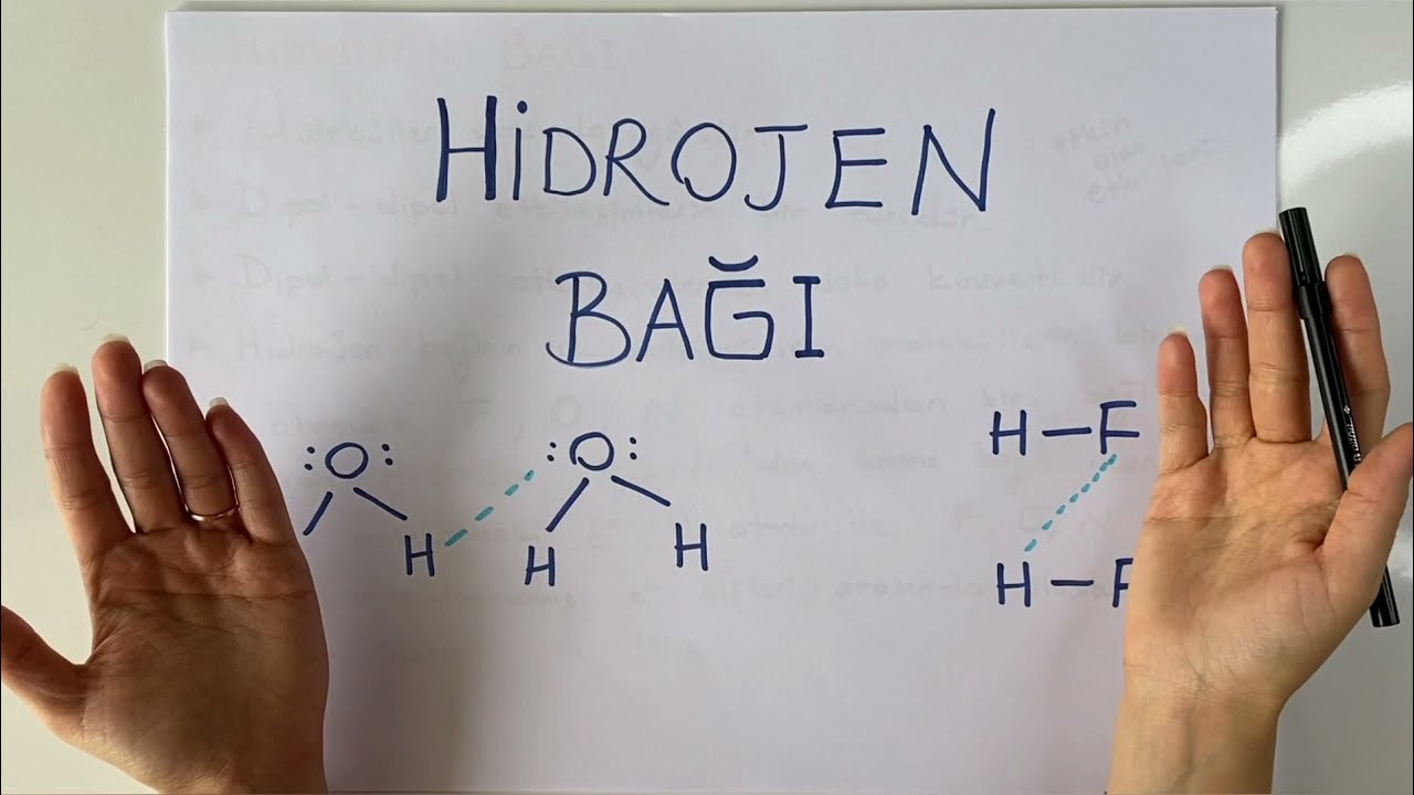 9. SINIF KİMYA - HİDROJEN BAĞI | 2021