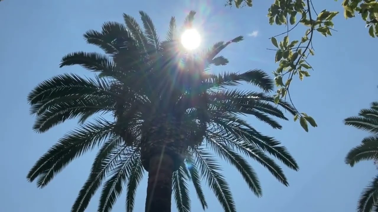 Un viaggio alla scoperta del territorio di Bernalda e Metaponto