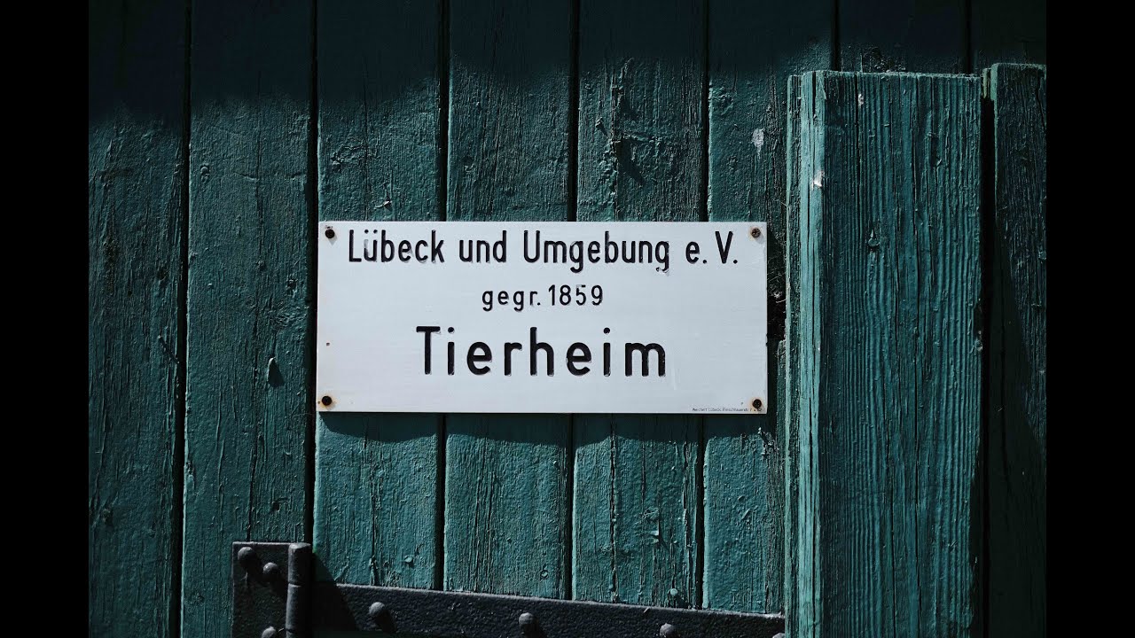 Tierheim Rundgang
