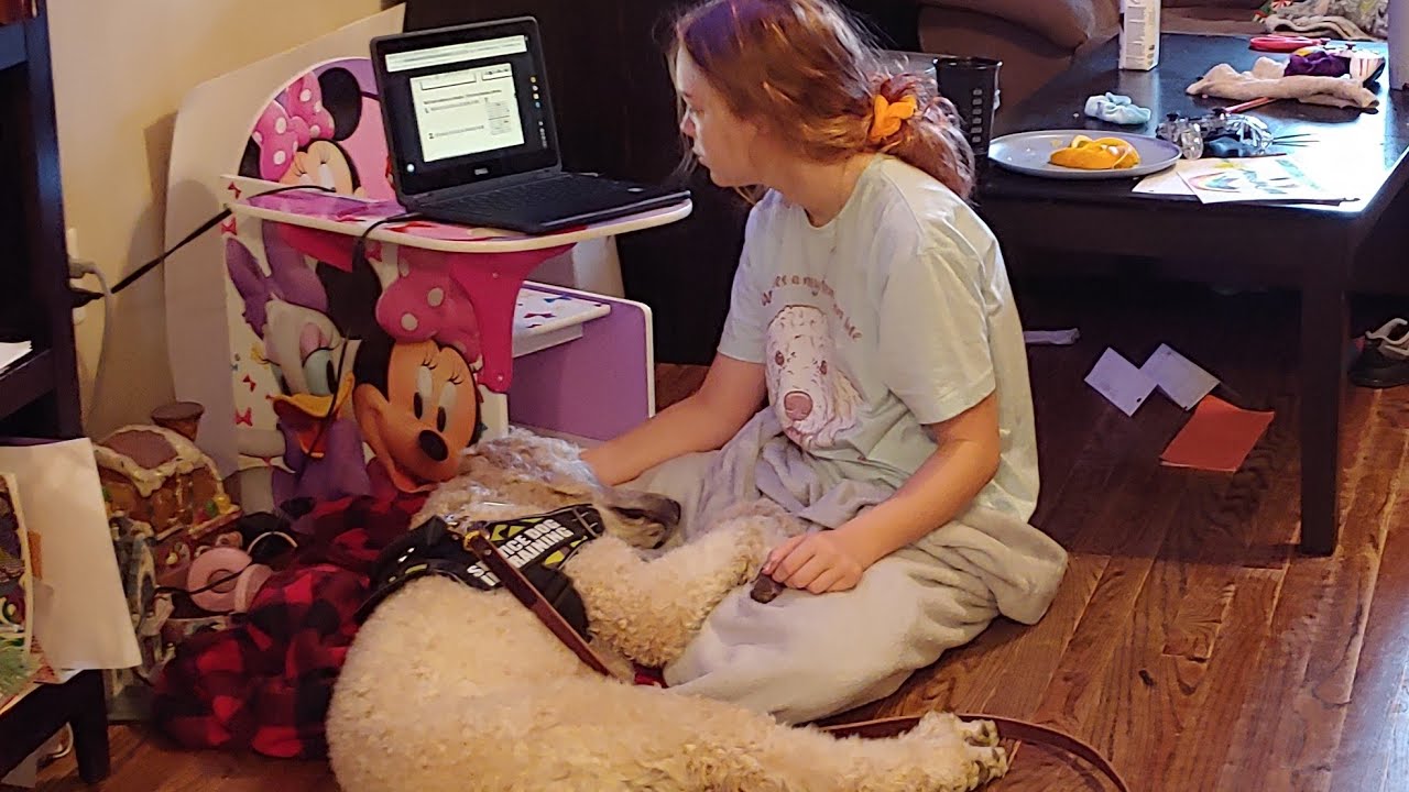 Life with Ehlers Danlos Syndrome: Jester the Service Dog