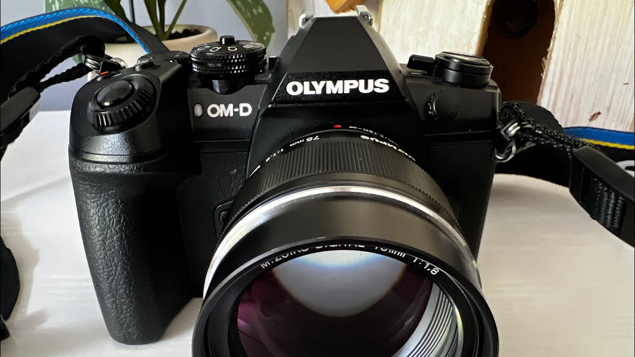 Full Frame vs Micro Four Thirds (M4/3): What's the Real Difference (Canon R8 vs EM1 Mark III)