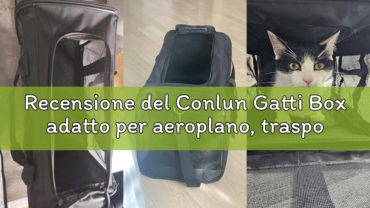 Recensione del Conlun Gatti Box adatto per aeroplano, trasportino per cani con guinzaglio interno, t