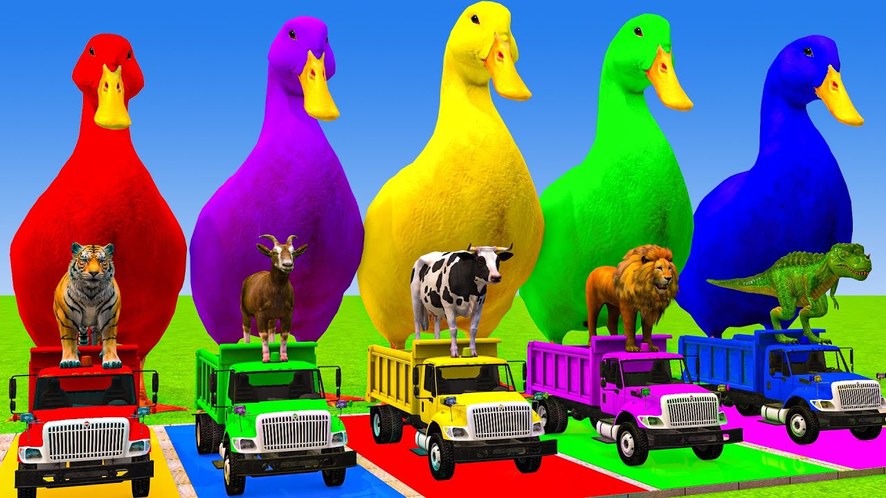 Long Slide Game With Cow Elephant Gorilla Hippopotamus Tiger 3d Animal Game Funny 3d Animals