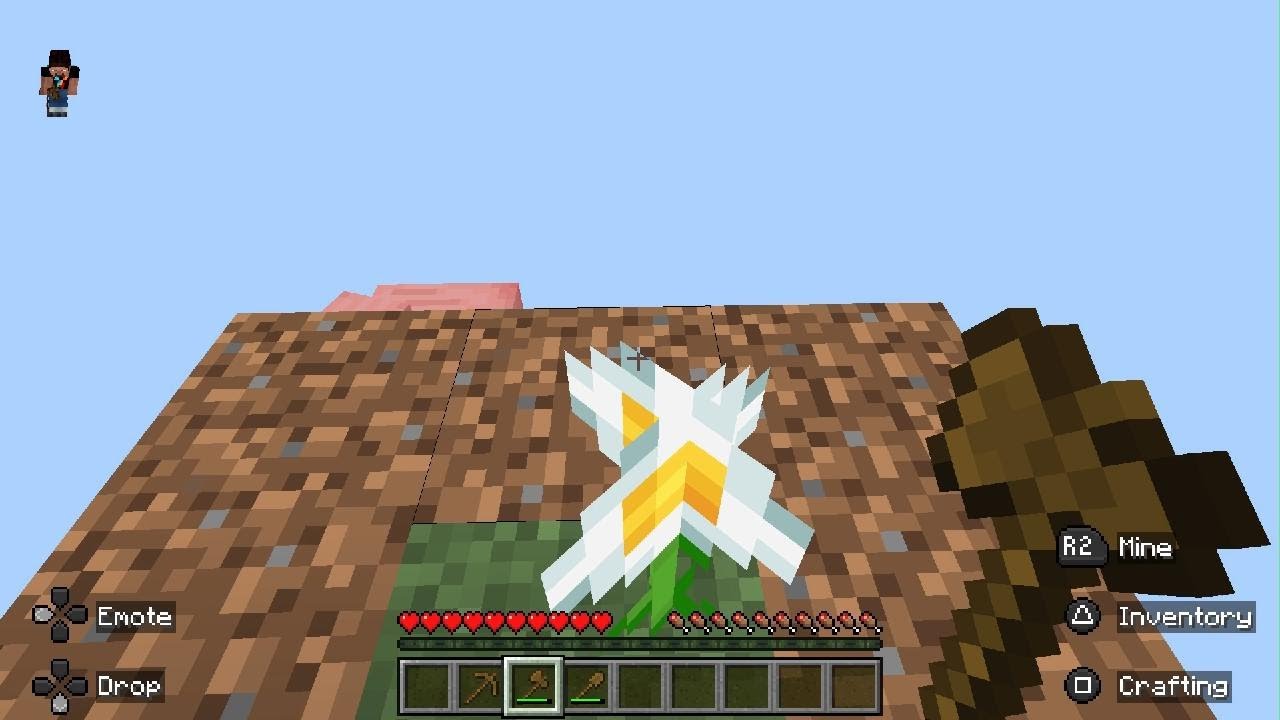 Minecraft one block