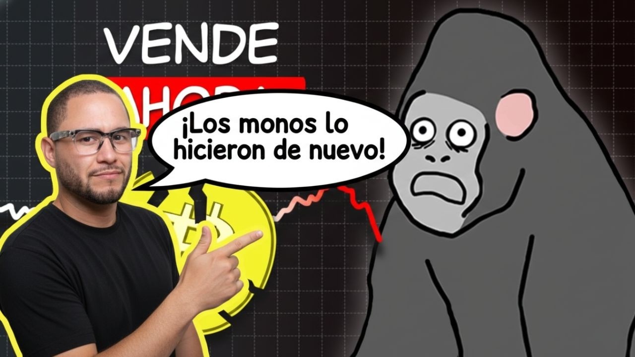 REACCION! Por qu&eacute; Bitcoin Est&aacute; en PELIGRO, Explicado con Pl&aacute;tanos