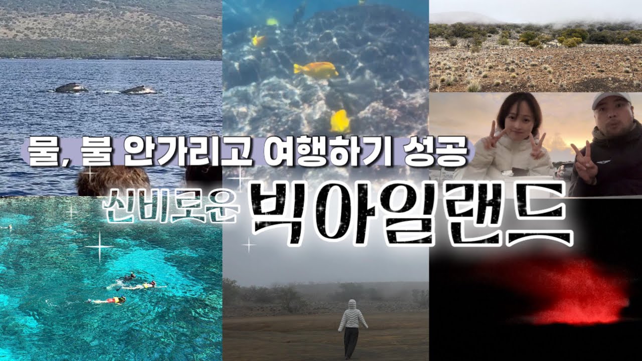 신비로운 하와이 🏝️ 빅아일랜드 여행코스 | 캡틴쿡 스노쿨링, 고래를 만나다! | 마우나케아 방문자센터에서 별도 보고 용암 분출도 보고 🌋