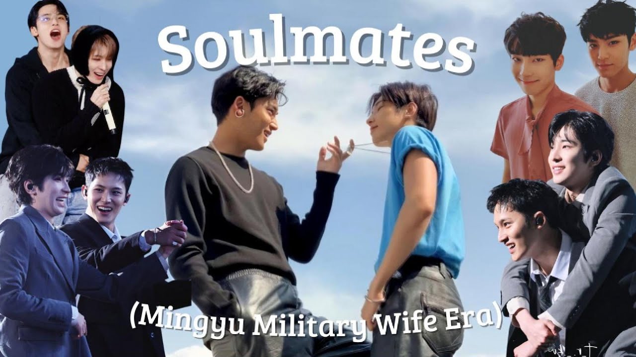 Minwon Tiktoks cause ✧ Mingyu has officially entered his military wife era ✧ (Tiktok Moments)