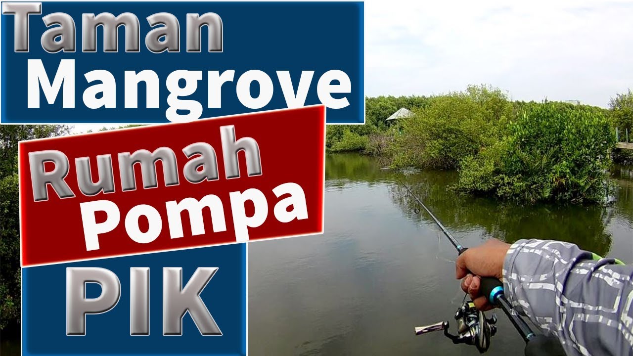 Tempat Mancing Casting Ultralight di Jakarta