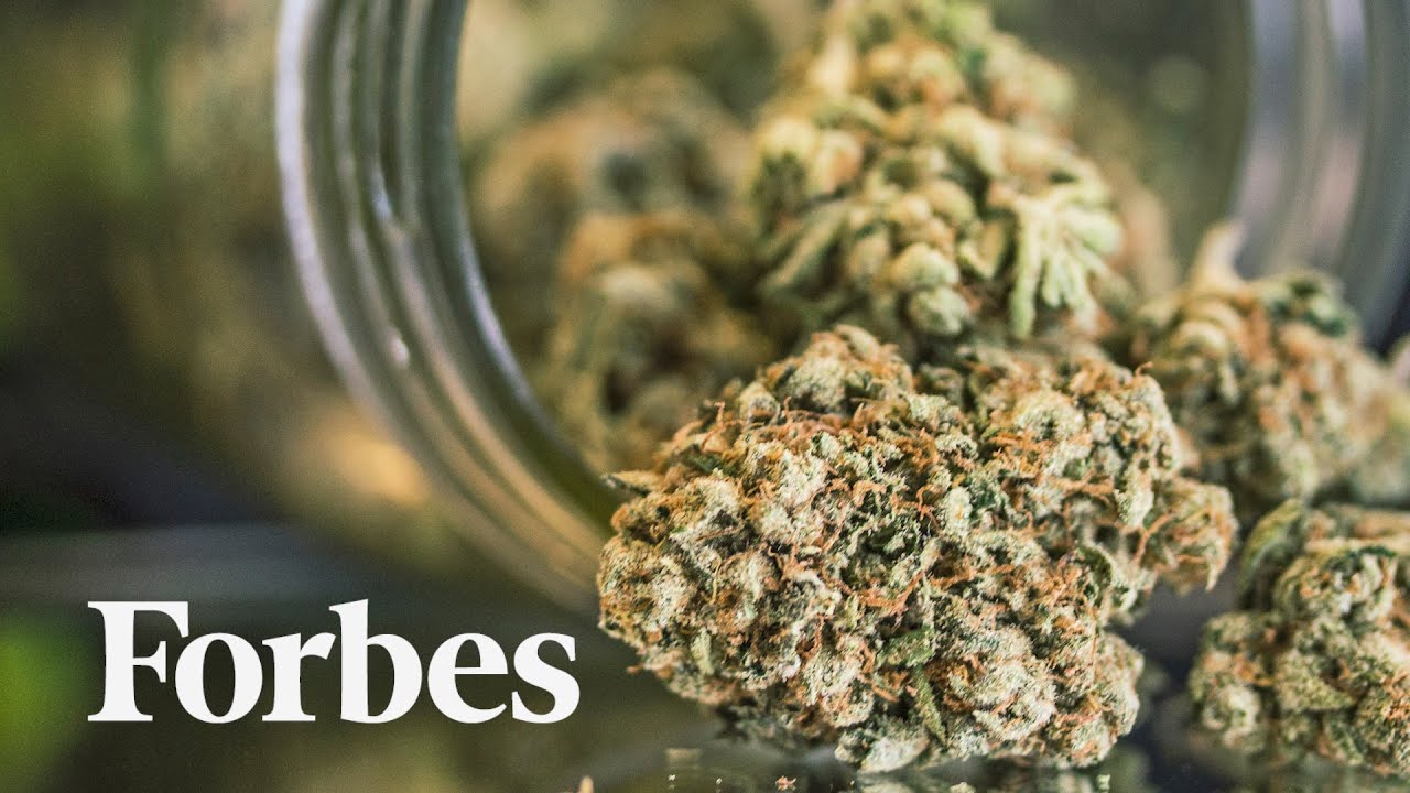 Cannabis and Coronavirus: How Pandemic Spending Patterns Are Shaping The Industry | Forbes