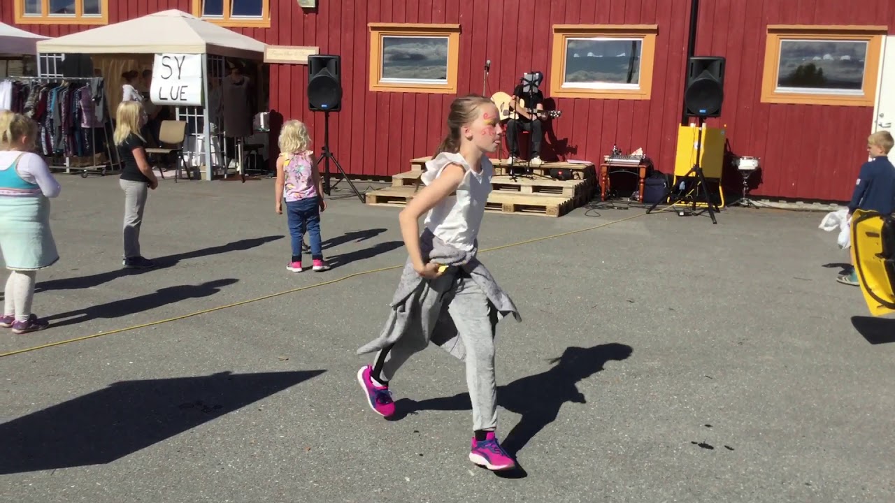 Bøgdadag 2017, Skjelstadmark.