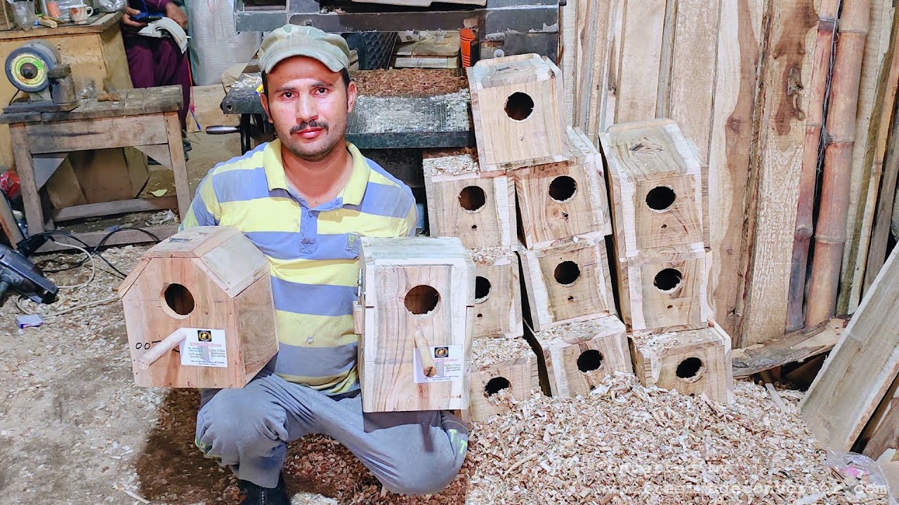 Amazing Technique Budgies Parrots Breeding Nest Box | Making Size & Shape | For All Birds & Parrots