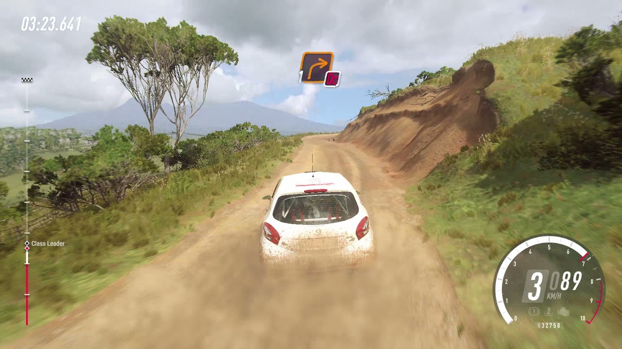 БОЛЬ И СТРАДАНИЯ Dirt Rally 2.0 