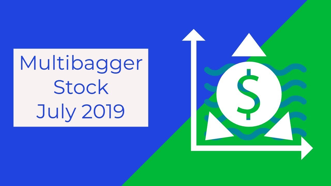 BEST MULTIBAGGER STOCK July 2019