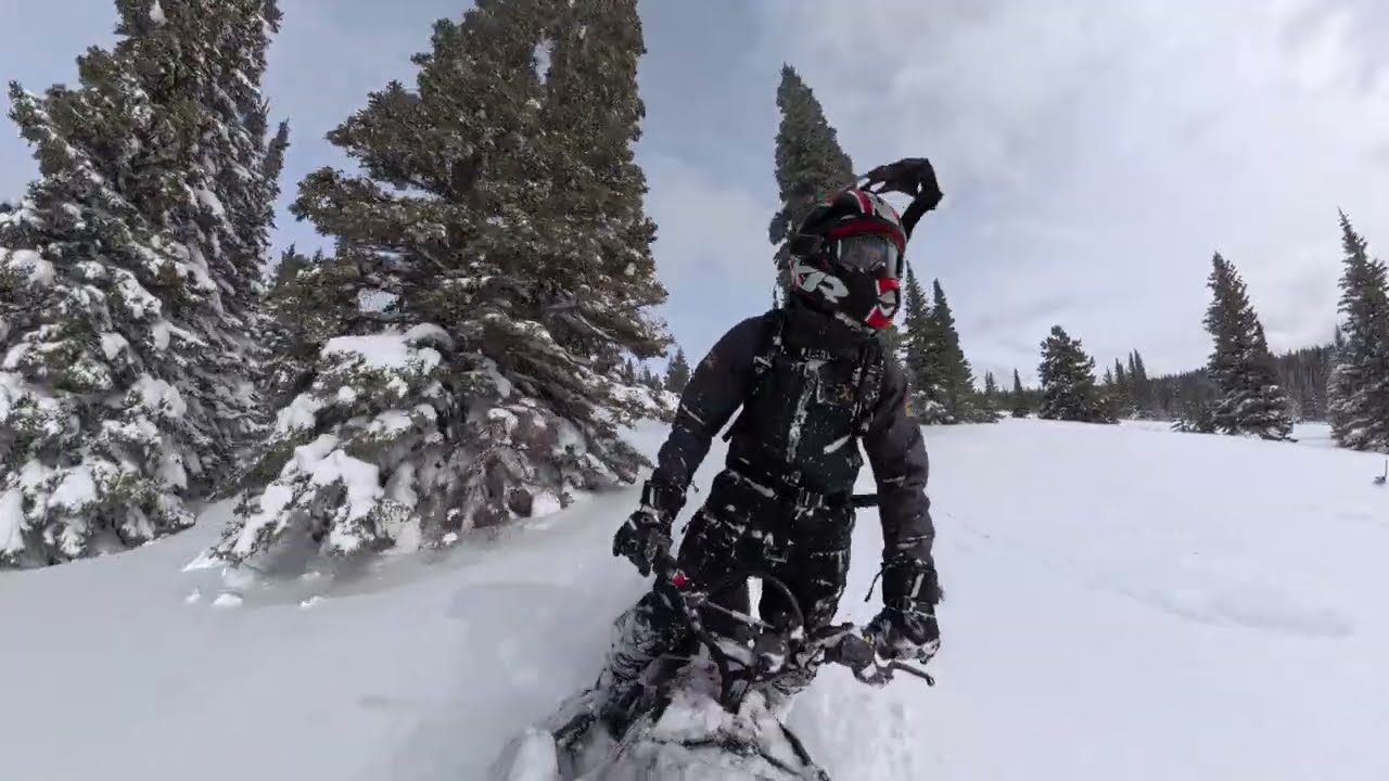Deep Snow Mountain Forest Riding