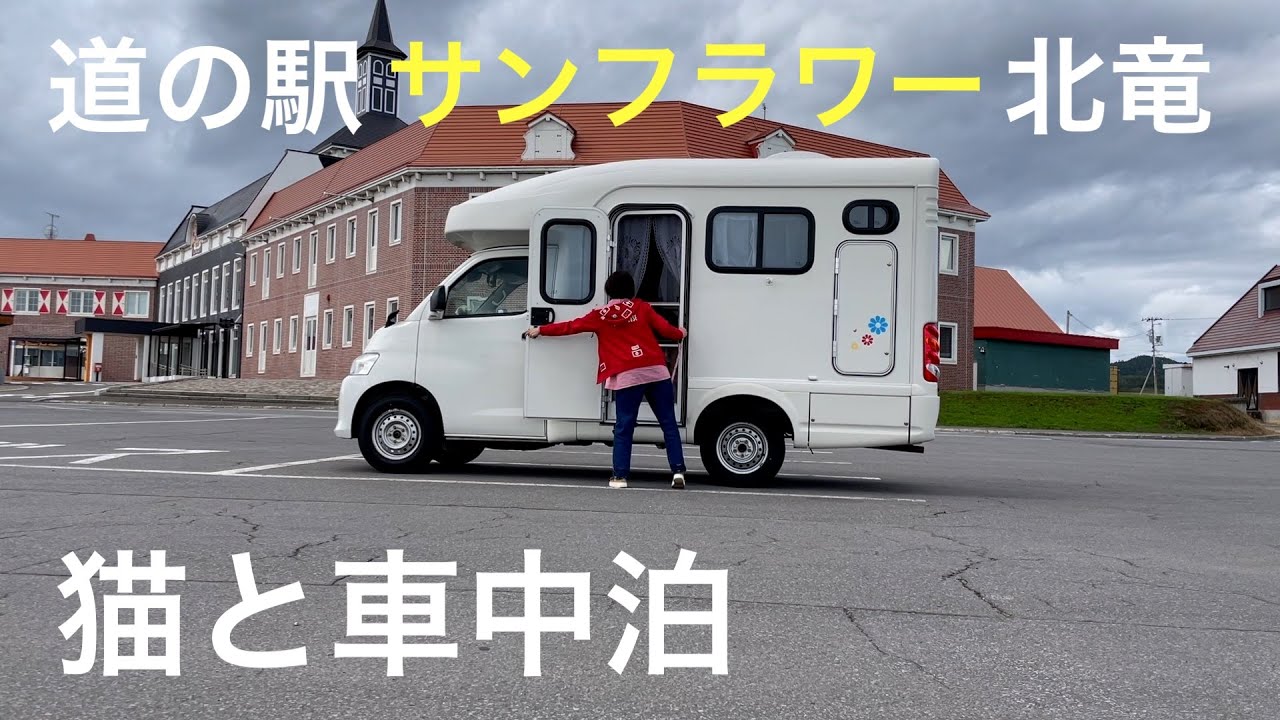 【猫と車中泊】旅先で買ったものを食べる車中飯っていいね！道の駅サンフラワー北竜