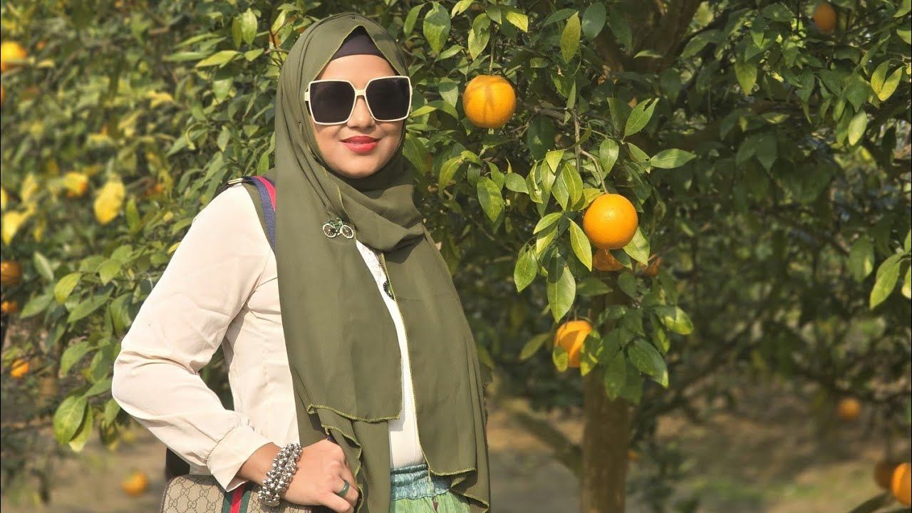 Orange garden in Rajshahi 🍊