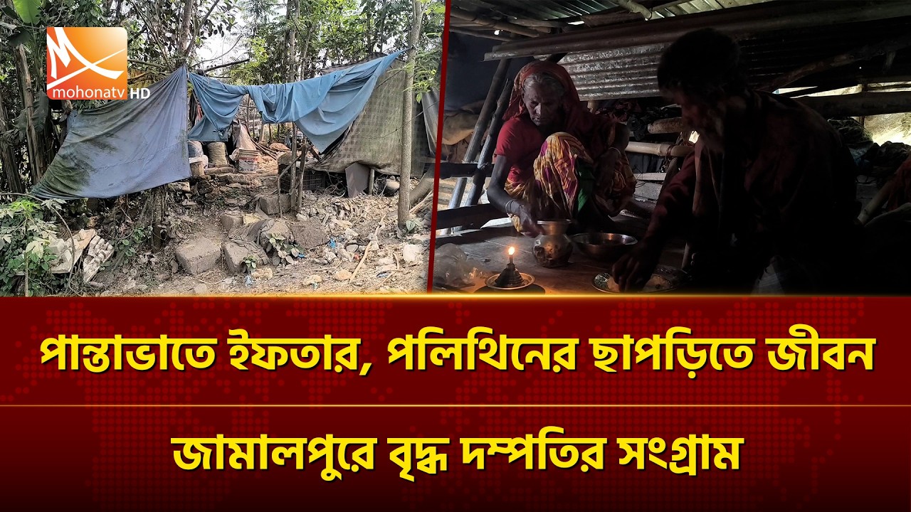 পান্তাভাতে ইফতার, পলিথিনের ছাপড়িতে জীবন—জামালপুরে বৃদ্ধ দম্পতির সংগ্রাম | Mohona TV