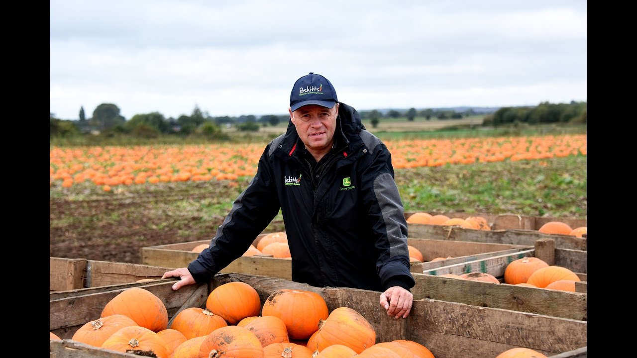 Guy Poskitt - Red Tractor pumpkin grower