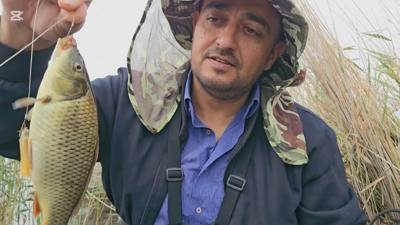 Buzovna gölü sazan ovu (28.05.2025)balaca balıqlar suya buraxıldı.