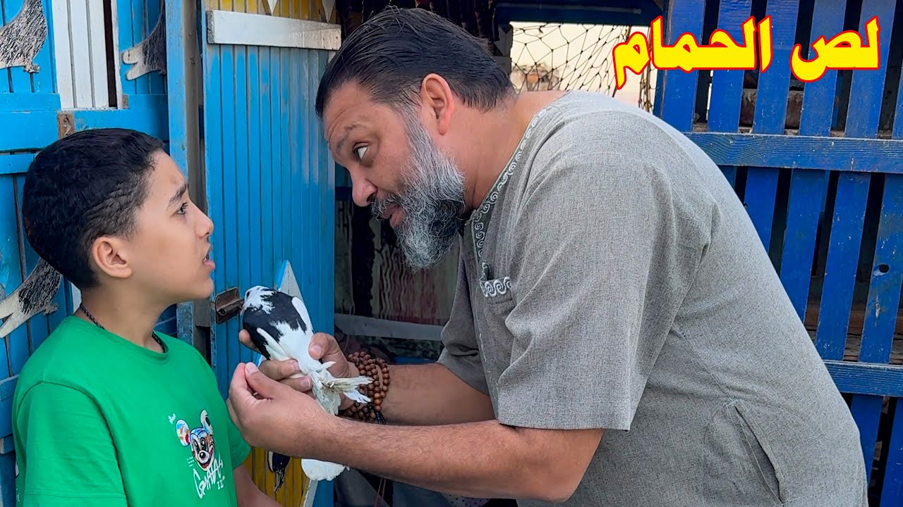 بيمسك حمام الجيران ويخبيه منهم