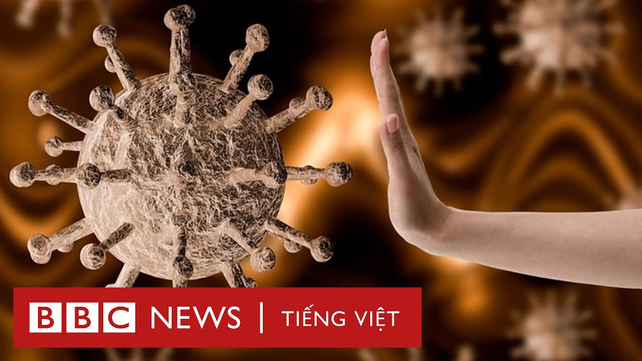 Virus COVID-19: Mối nguy nhiễu loạn th&ocirc;ng tin v&agrave; t&aacute;c động x&atilde; hội - BBC News Tiếng Việt