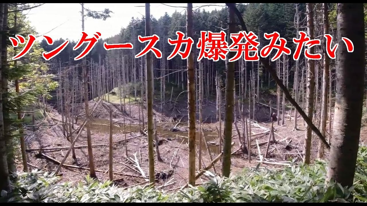 日高町の黒い池が半端なきことに
