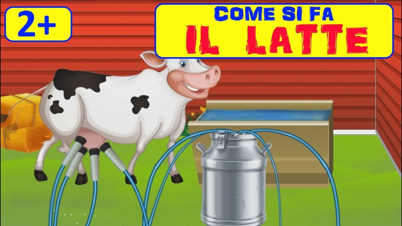 🐮COME SI FA IL LATTE!? Impariamo cose nuove!🐮