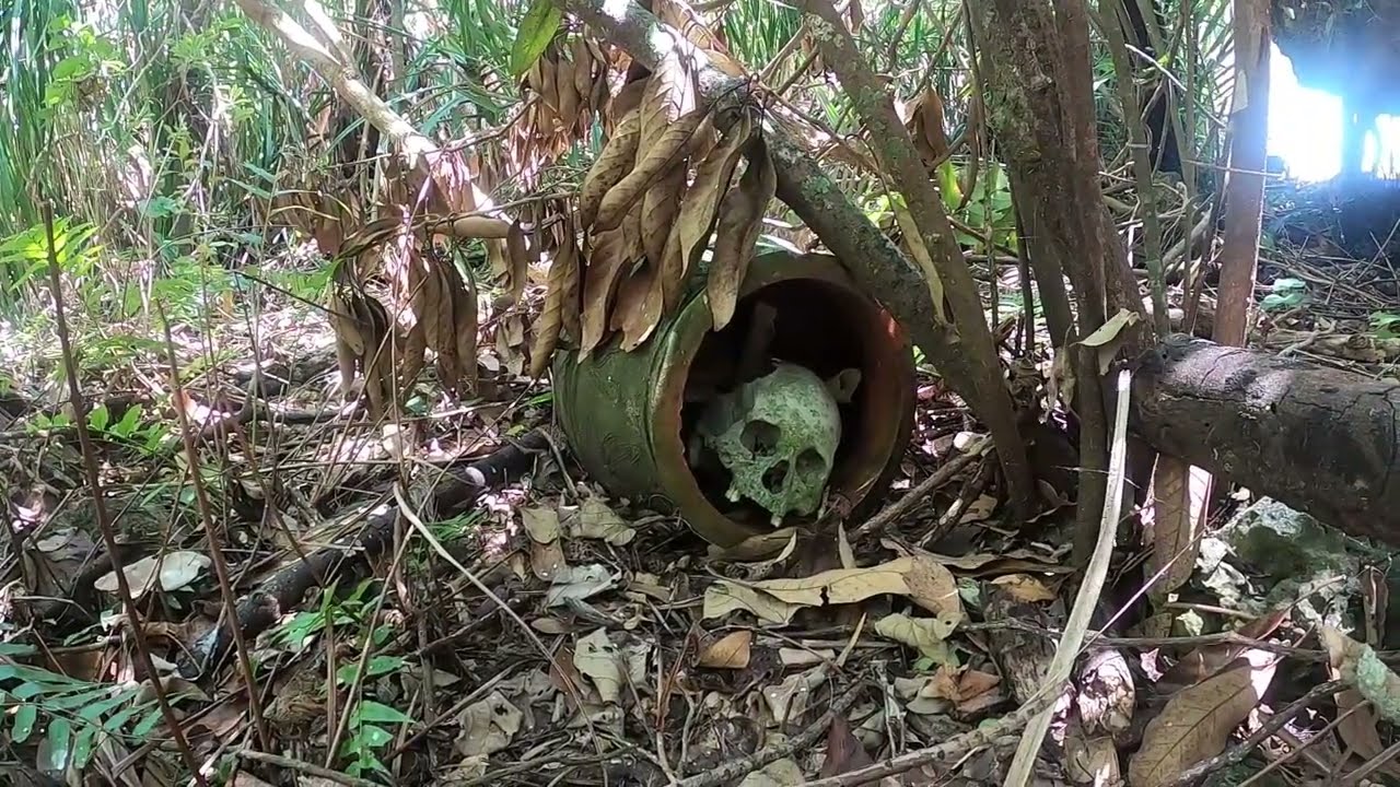 Discovering Okinawa's Secrets: Bones and Skulls Discovered on Remote Islands (READ DESC)