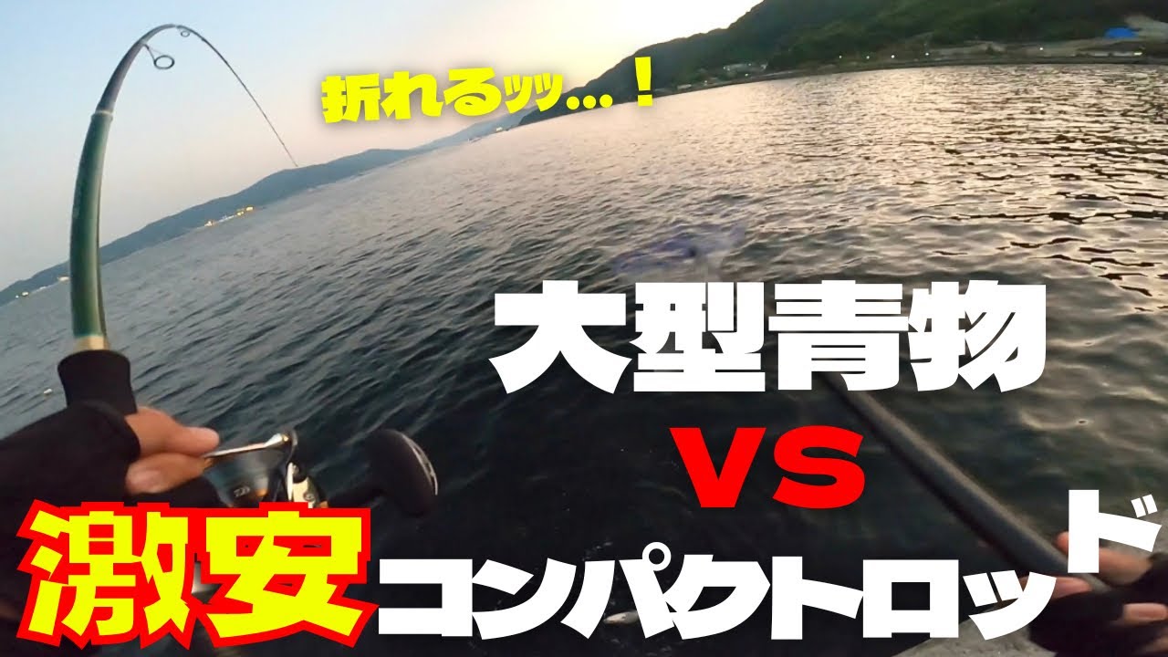 堤防から大きな青物！激安モバイルロッドがブチ曲がる！！！【ライトショアジギング】【ショアジギング】
