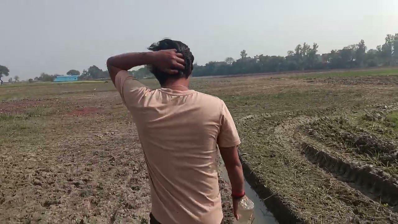 हम आज गए है सिकंदर के गेहूँ मे खाद् चिटने और सिकंदर पानी भार रहा है ताल मे से 