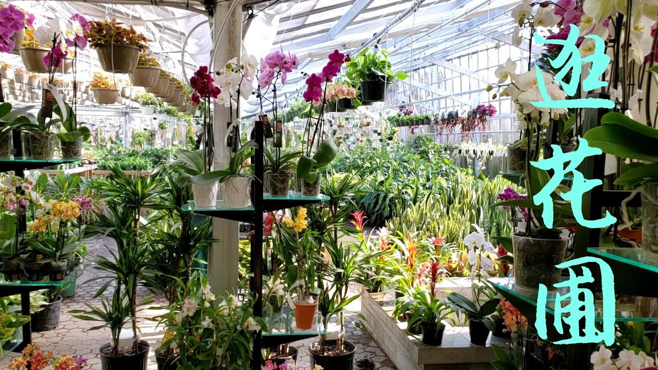 逛花圃 Woodhill Garden Center