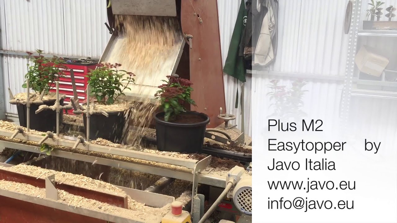 Javo per i Vivai - Pistoia