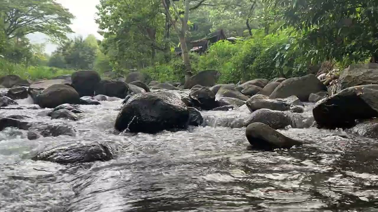 Stress Fades Away with This River Sound 🍃