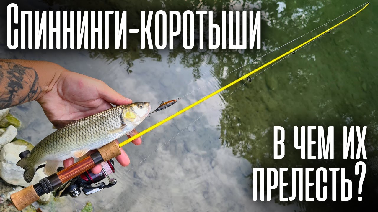 Почему я ловлю КОРОТЫШАМИ? Спиннинги-обрубки