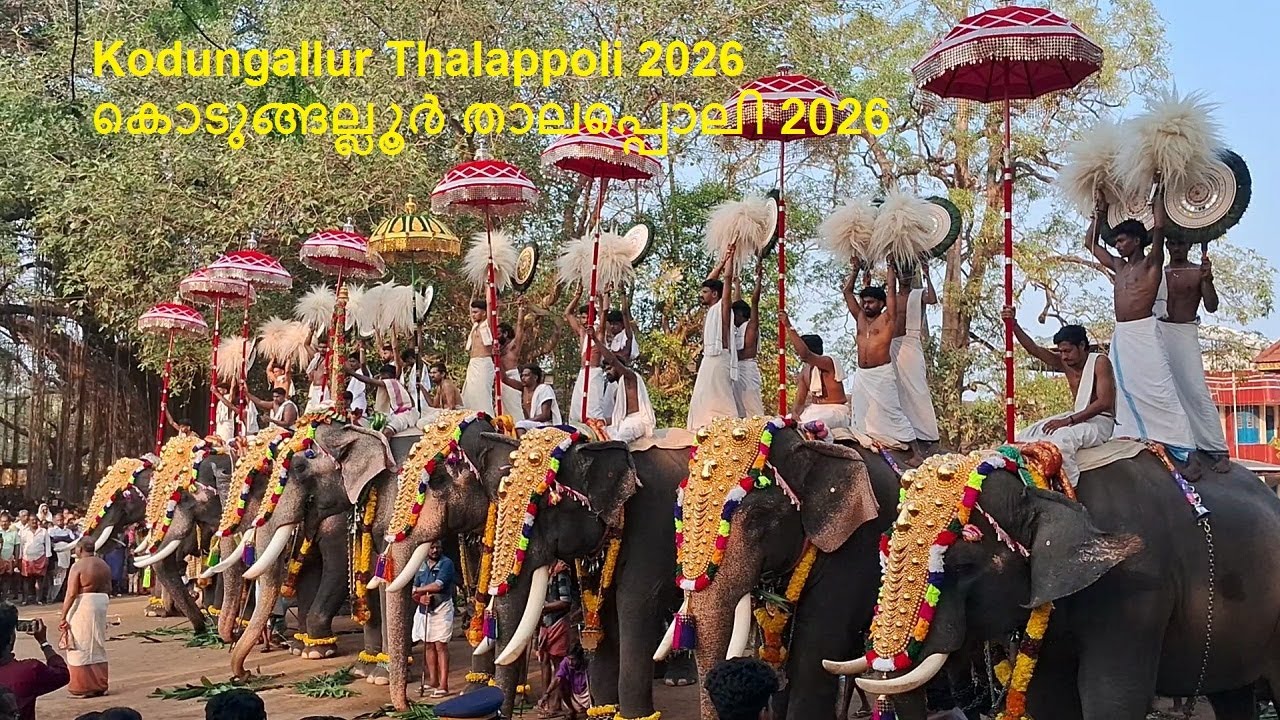 kodungallur thalappoli 2026 | കൊടുങ്ങല്ലൂർ താലപ്പൊലി 2026 | kodungallur thalapoli 2026 | elephant