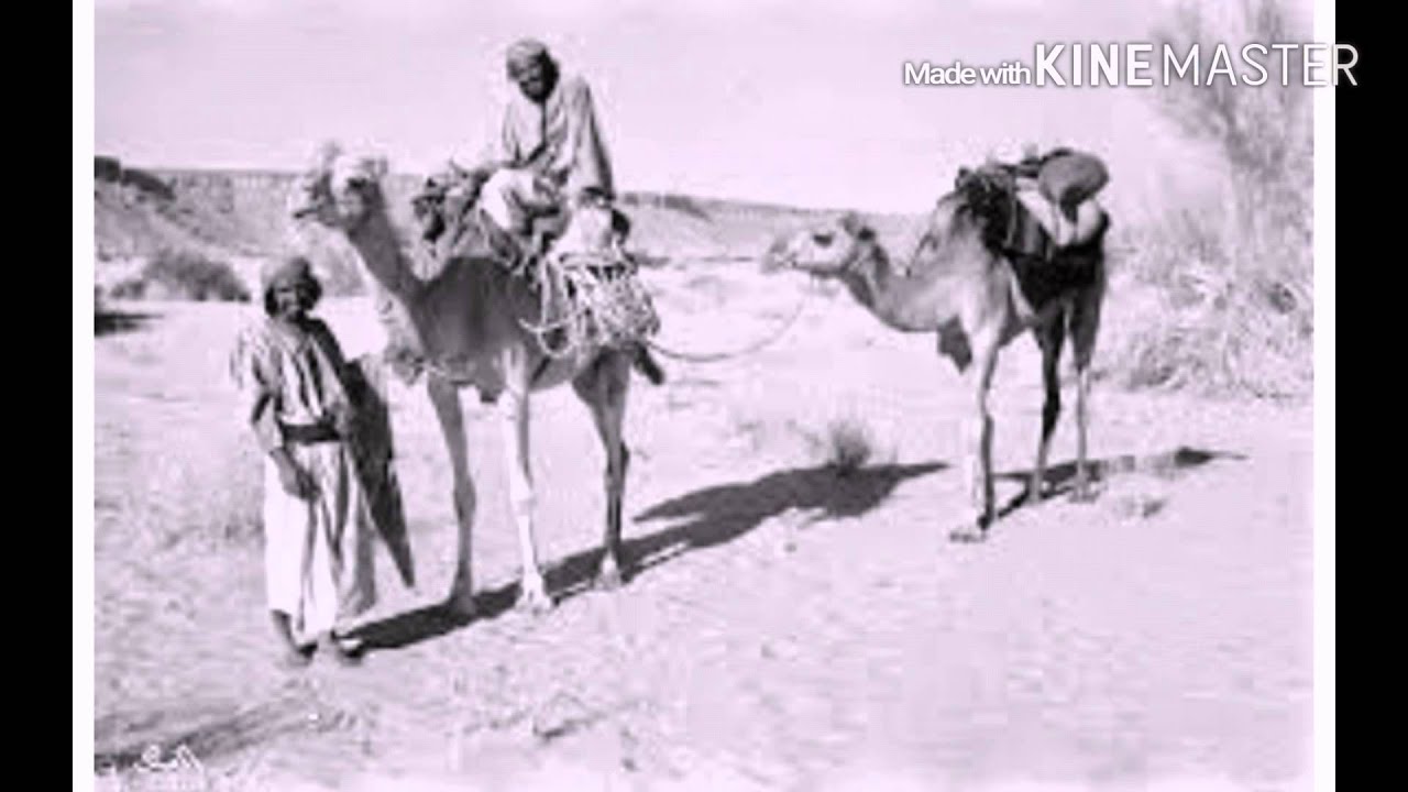 رد الشاعر : حامد اعيوع البراك على العواجي والعتيبي بموضوع غزوة شريفة