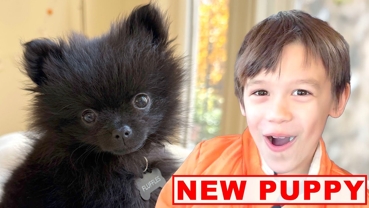 We Got a PUPPY!!! 🐾🖤🐶