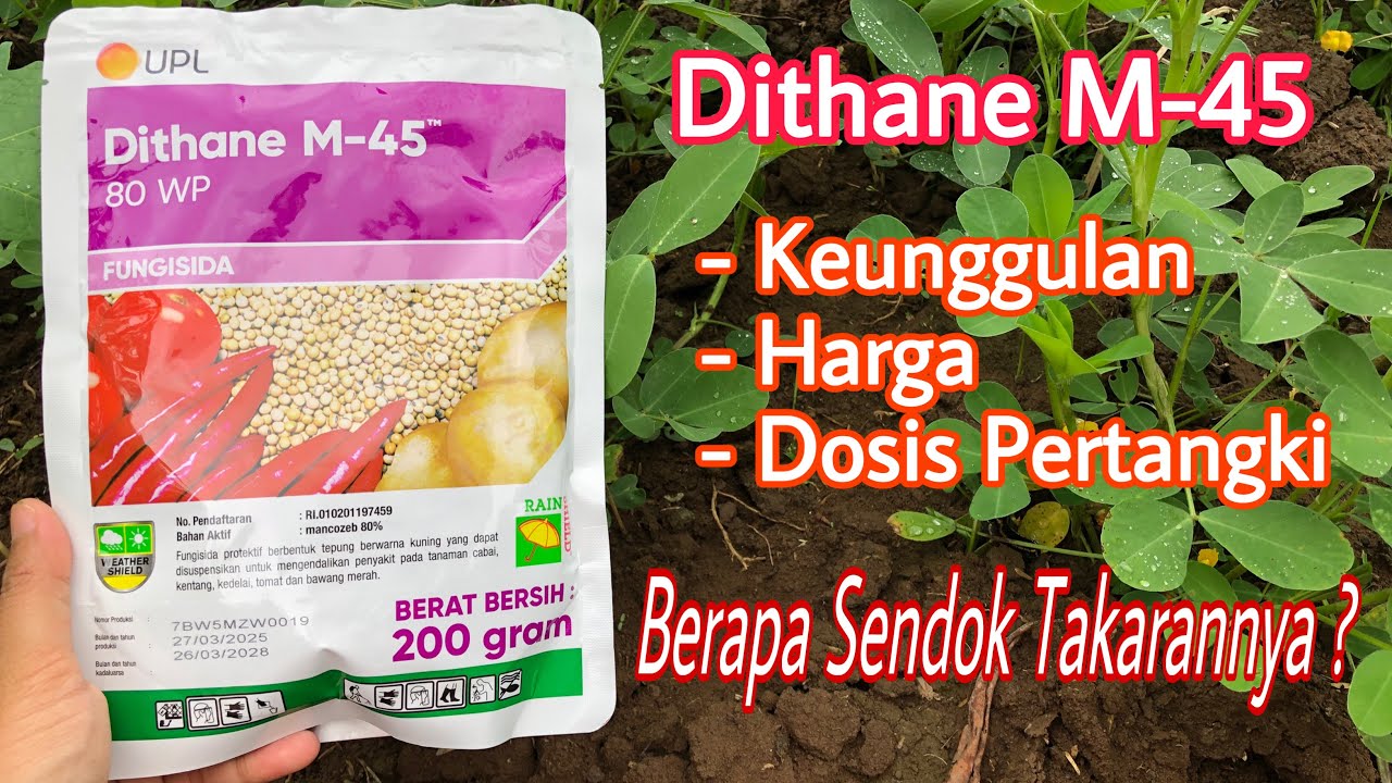 Fungisida Dithane M-45 - Dosis, Keunggulan, Harga 
