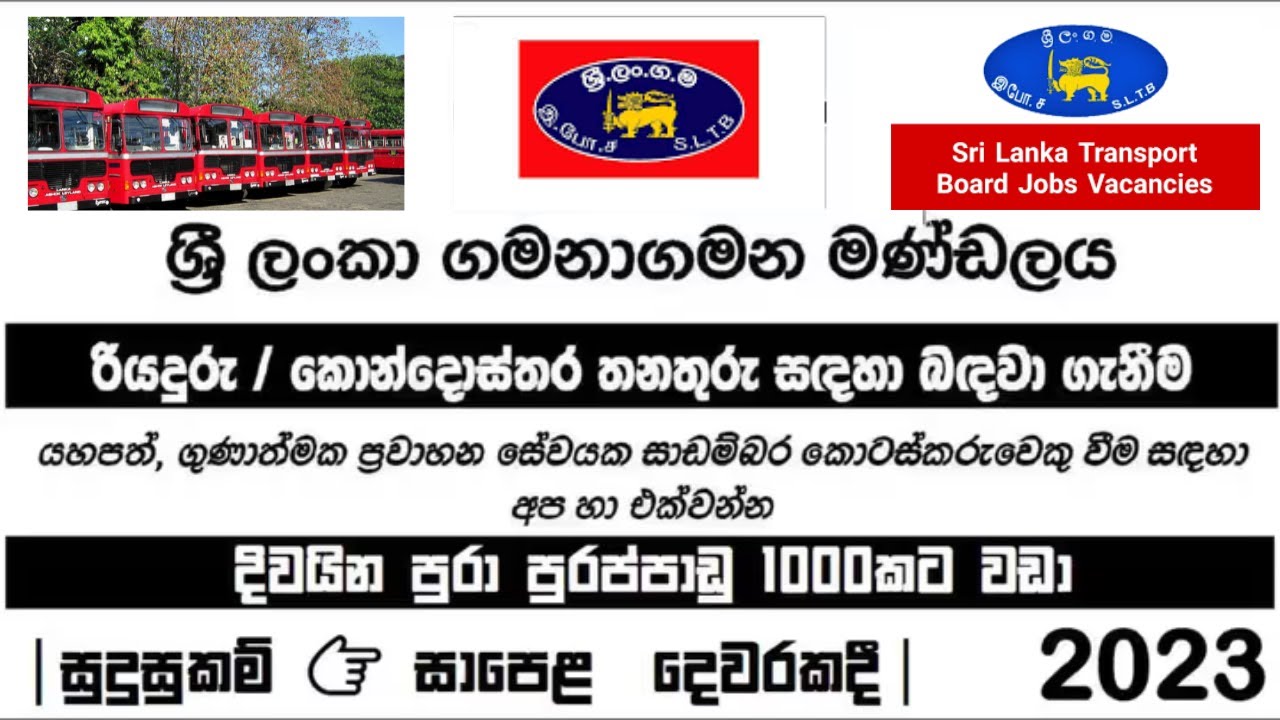 SLTB 2023 |CTB Job Application|SL Transport Board Recruitment| government job vacancies 2023 sinhala