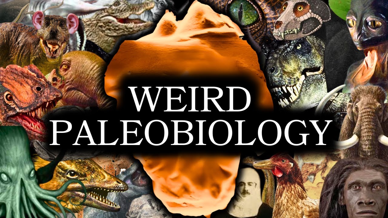 The Weird Paleobiology Iceberg Explained