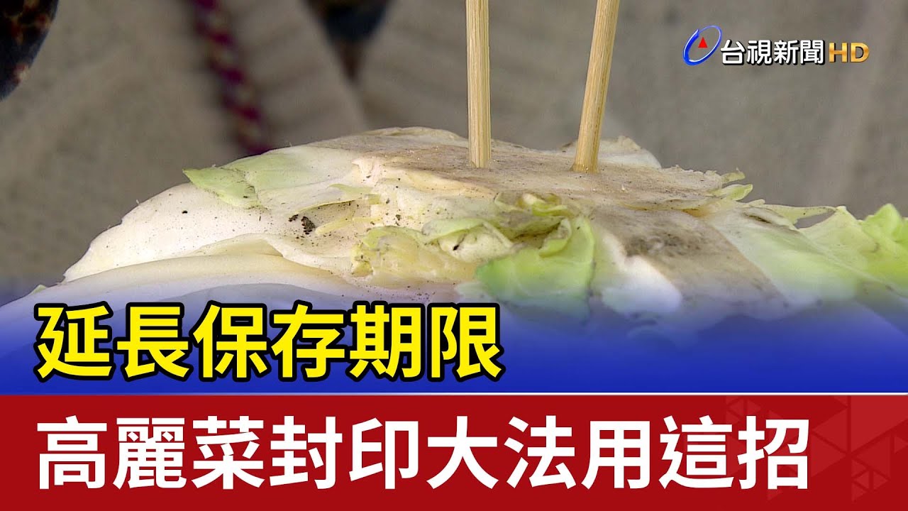 延長保存期限 高麗菜封印大法用這招
