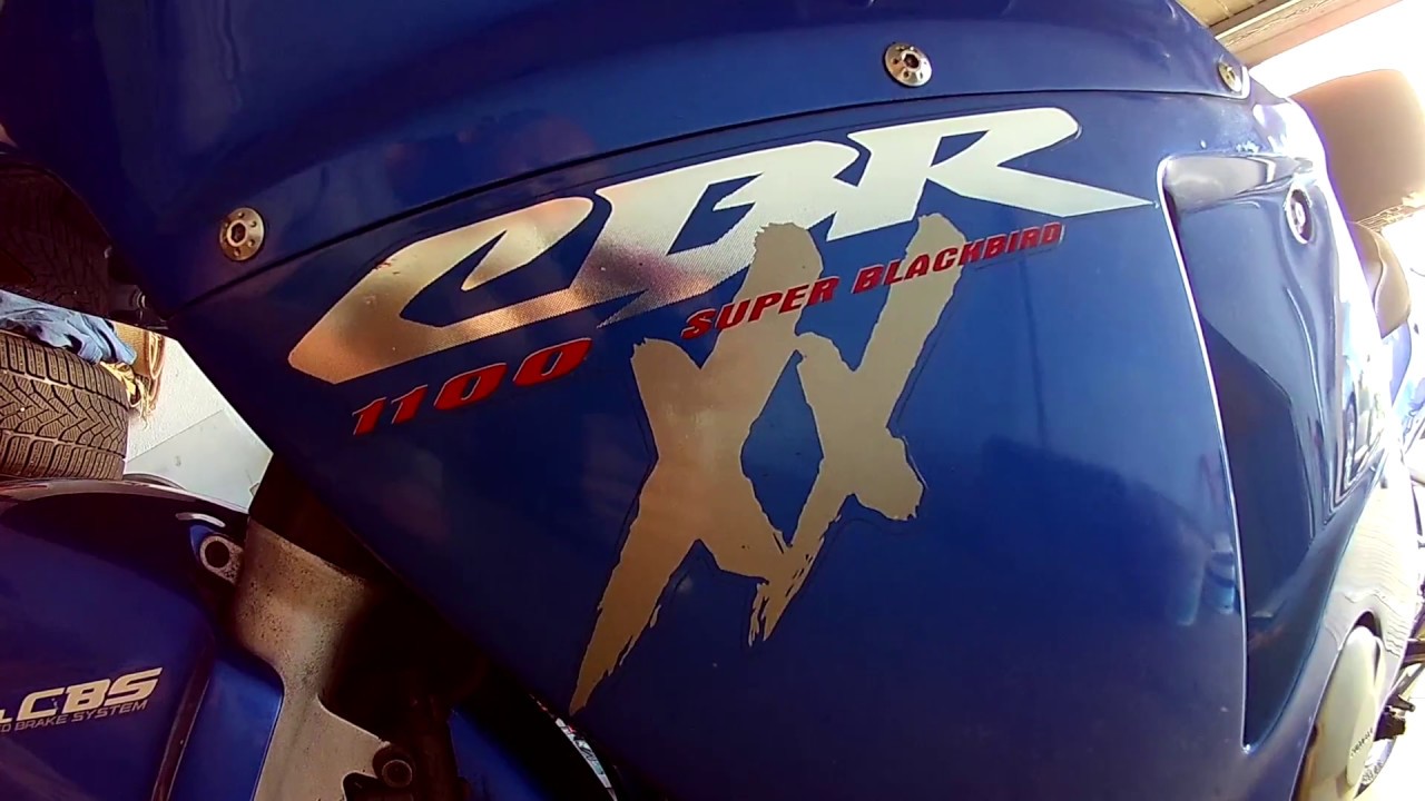 Honda CBR 1100 XX Super Blackbird 2001 - Tomi